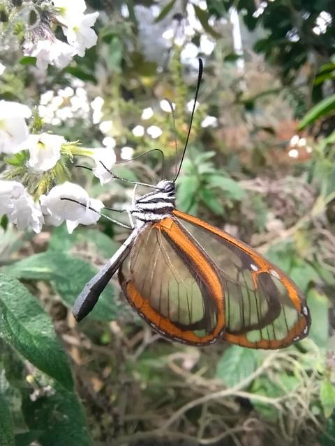 filter: 0; fileterIntensity: 0.0; filterMask: 0; module: h; 
hw-remosaic: 0; 
touch: (-1.0, -1.0); 
modeInfo: ; 
sceneMode: Night; 
cct_value: 0; 
AI_Scene: (-1, -1); 
aec_lux: 113.173416; 
hist255: 0.0; 
hist252~255: 0.0; 
hist0~15: 0.0;