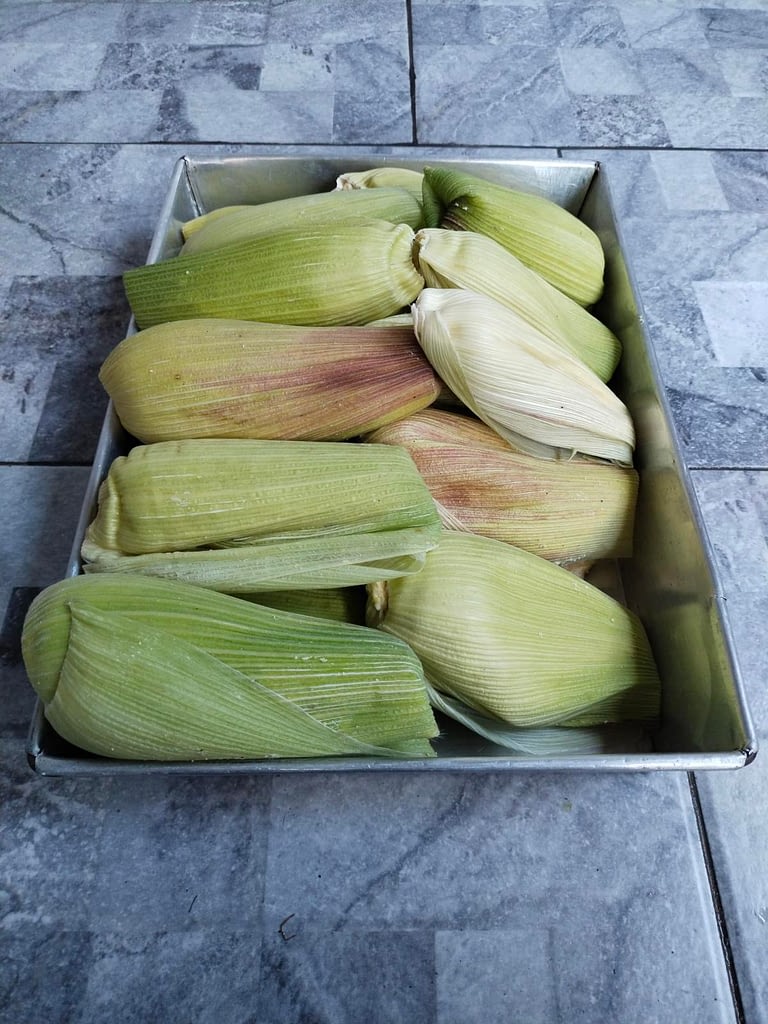 filter: 0; fileterIntensity: 0.0; filterMask: 0; module: h; 
hw-remosaic: 0; 
touch: (-1.0, -1.0); 
modeInfo: ; 
sceneMode: Night; 
cct_value: 0; 
AI_Scene: (-1, -1); 
aec_lux: 230.06337; 
hist255: 0.0; 
hist252~255: 0.0; 
hist0~15: 0.0;