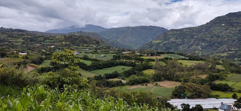 mirador desde la finca-1600x738