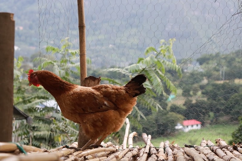 20200910172618_IMG_0085