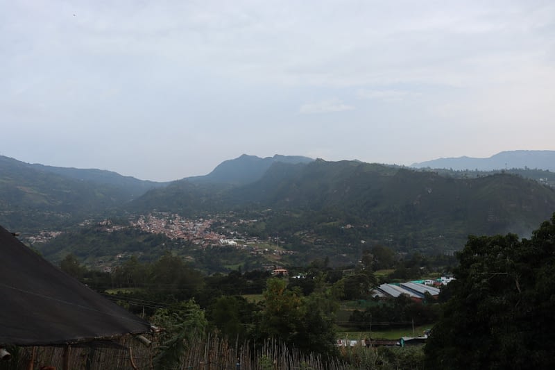 20200910173627_IMG_0092