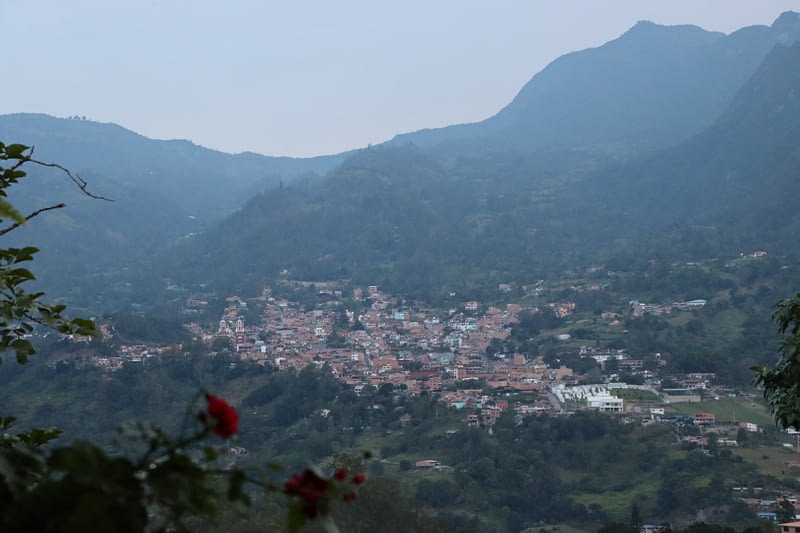 20200910175101_IMG_0102